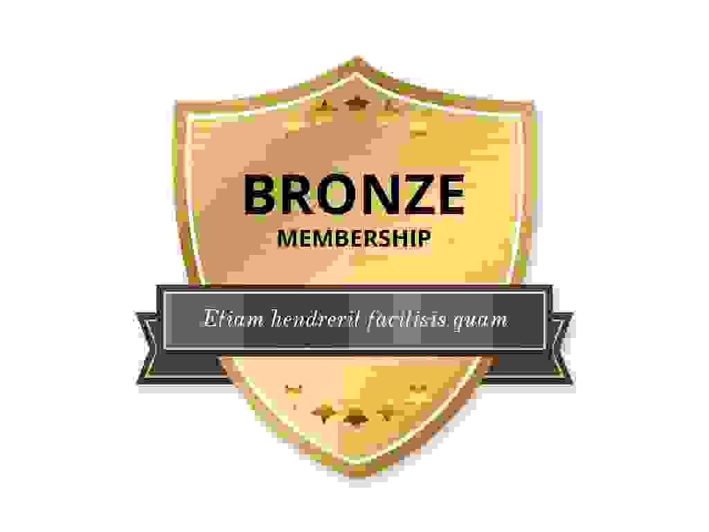 bronze img