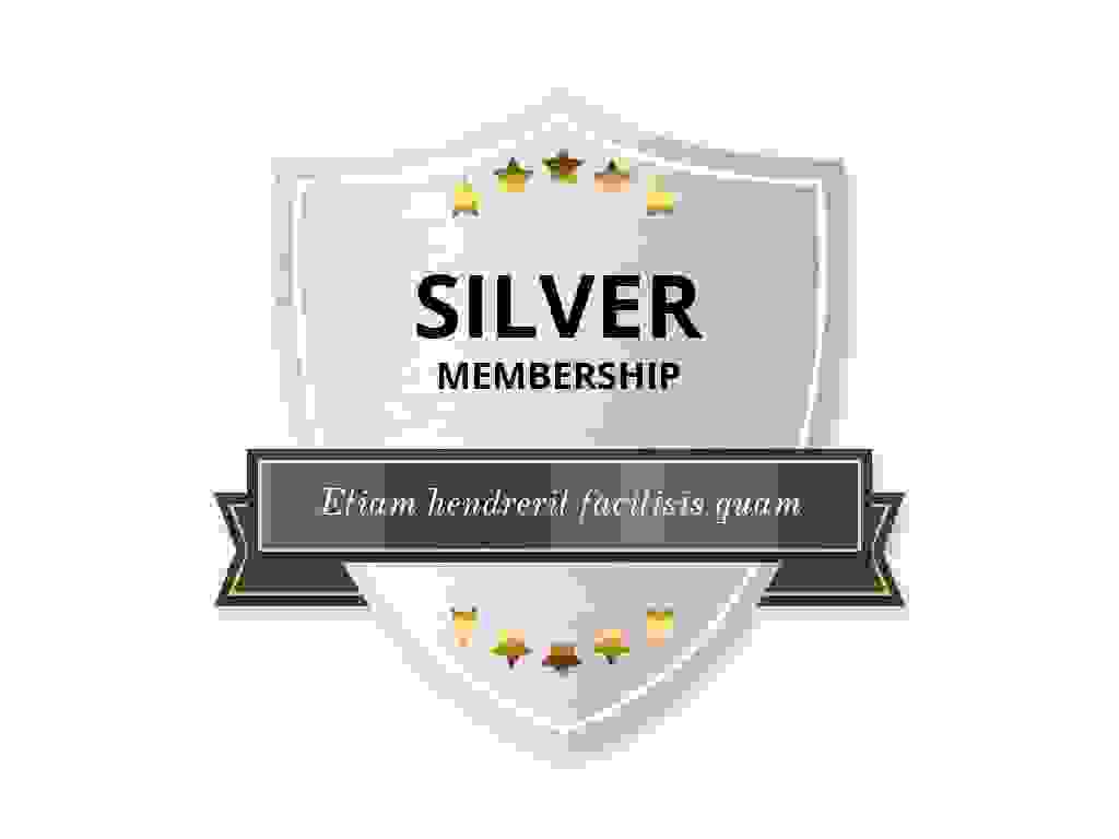 silver img