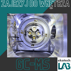 Wnetrze gcms mini